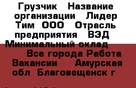 Грузчик › Название организации ­ Лидер Тим, ООО › Отрасль предприятия ­ ВЭД › Минимальный оклад ­ 32 000 - Все города Работа » Вакансии   . Амурская обл.,Благовещенск г.